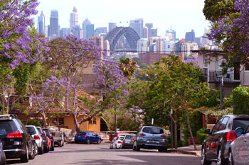 Neutral Bay Acupuncture